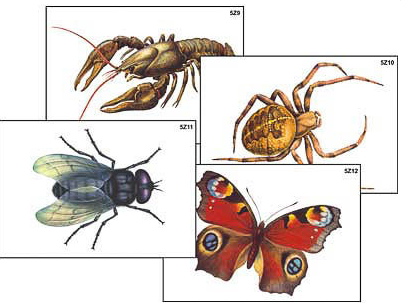 Скриншот 29-10-2024 233124