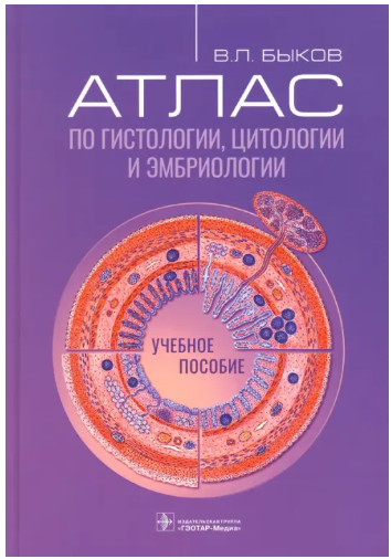 Снимок экрана 2024-11-22 112031