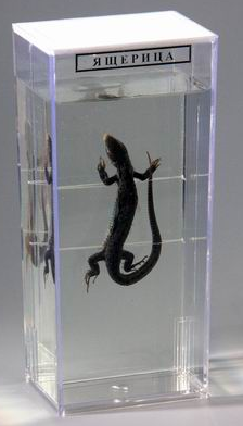 ваимавиваиав