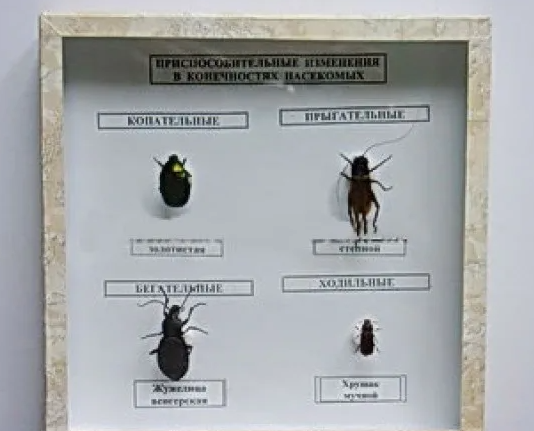 АВМАВИАВЫИАВЫ