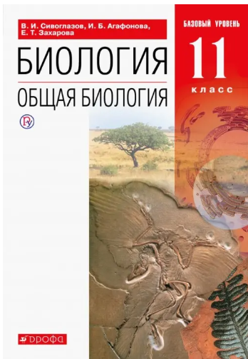 Снимок экрана 2024-11-22 111827