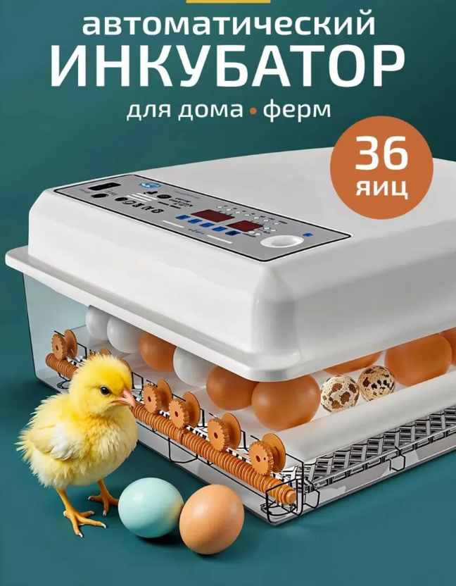 Screenshot_64