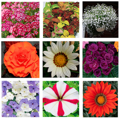 Снимок экрана 2025-07-30 150550