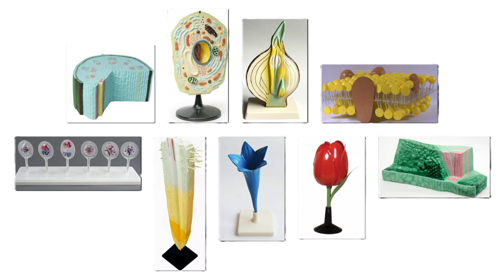 Снимок экрана 2025-08-04 145316