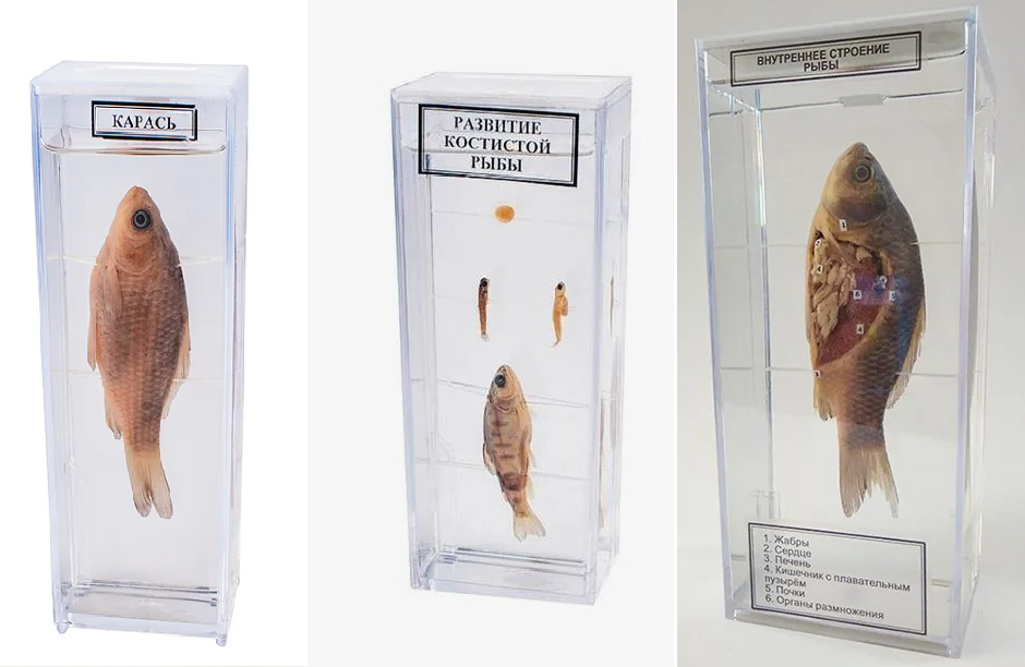 ВМВЫМПВЫПЫВ