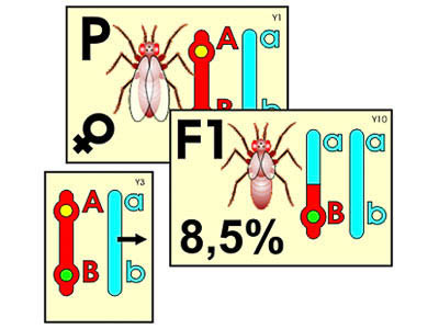 185