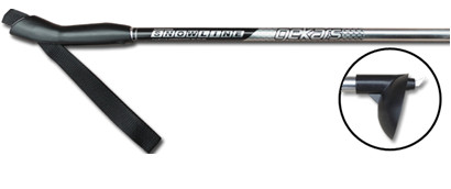 палки лыжные