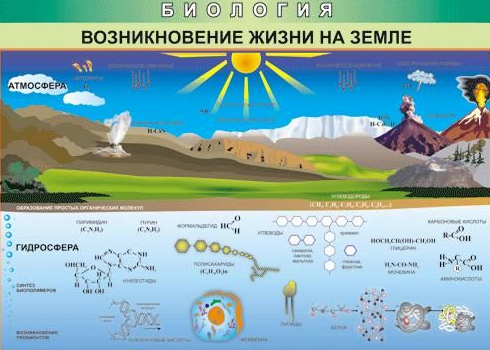 Скриншот 29-10-2024 215028