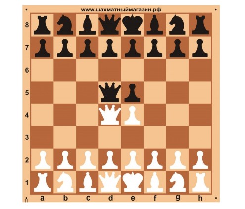 Снимок экрана 2023-08-31 120254