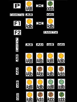 183