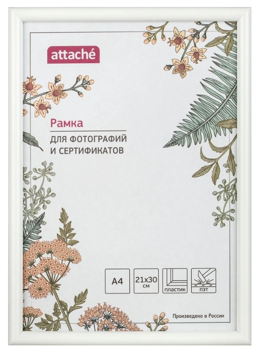 Снимок экрана 2025-10-06 095702