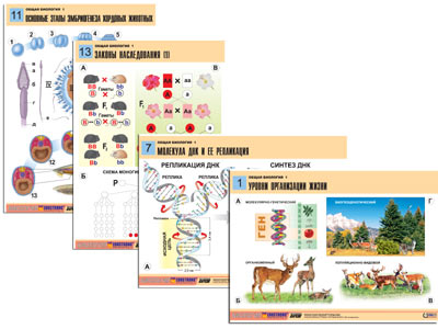 9fb155e616b8ddfb613f9e4afd864e40