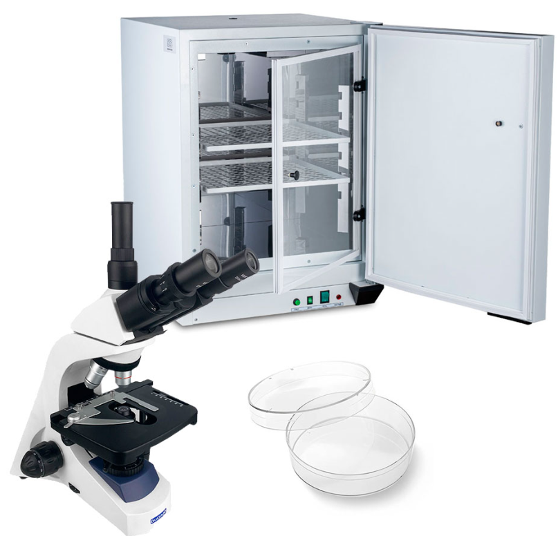 Снимок экрана 2025-07-30 163141