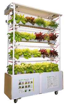 Снимок экрана 2025-12-05 122536