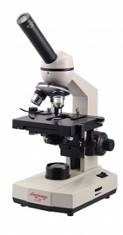 Снимок экрана 2023-09-20 165612