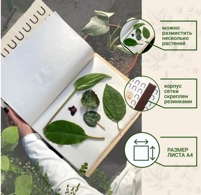 авпмавпиапиа