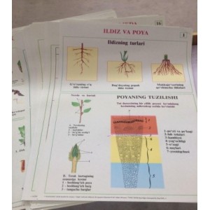 Комплект плакатов цветных по предмету "Биология" (500х700мм) (50 листов) *мин.заказ 300 комп.
