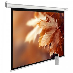 Экран Cactus MotoExpert CS-PSME-300x188-WT, 300х188 см, 16:10, настенно-потолочный белый