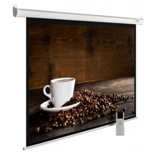 Экран Cactus MotoExpert CS-PSME-300x300-WT, 300х300 см, 1:1, настенно-потолочный белый