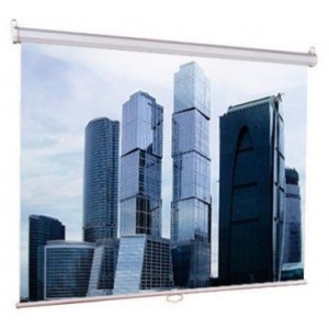 Экран Lumien Eco Picture LEP-100105, 160х160 см, 1:1, настенно-потолочный
