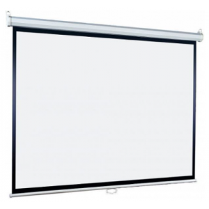 Экран Lumien Eco Picture LEP-100108, 180х180 см, 1:1, настенно-потолочный