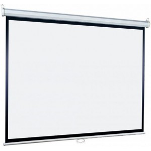Экран Lumien Eco Picture LEP-100109, 203х203 см, 1:1, настенно-потолочный