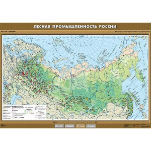 Учебная карта "Лесная промышленность России" 100х140