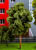 Screenshot_731