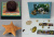 Screenshot_8