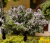 Screenshot_729