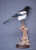 Screenshot_4